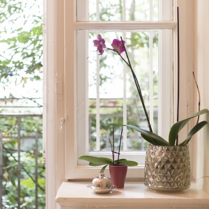 Beratung Arbeitsrecht Anwälte für Arbeitsrecht